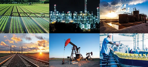 Chisp Industry Collage SF 600
